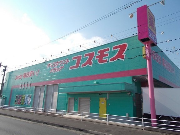 サン　フォーリストの周辺|コスモス大貫店まで1600m