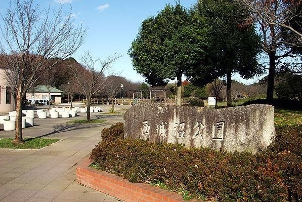 カメリアヒルズＢの周辺|西城沼公園まで400m