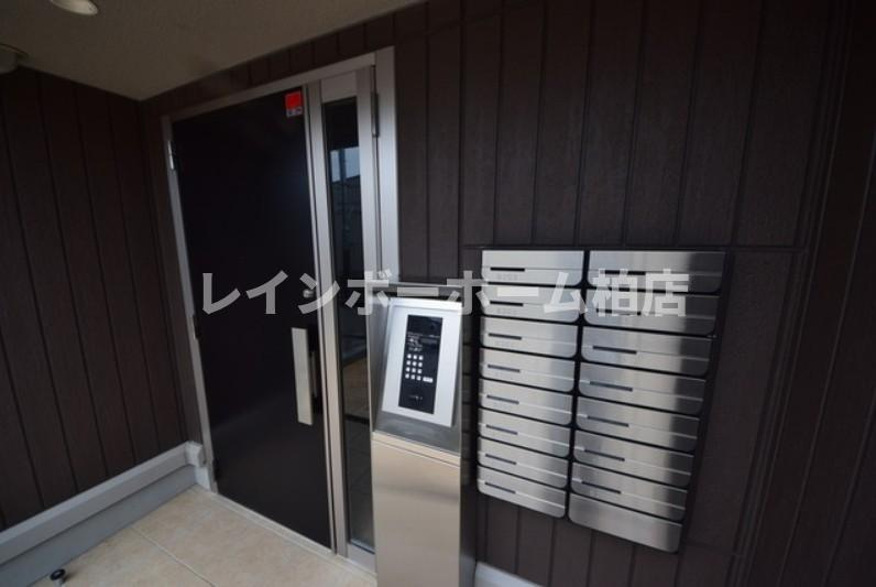 【仲介手数料：50％OFF】対象物件！のエントランス|落ち着いたエントランスです