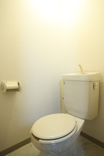 ベルフレージュ北堀江のトイレ