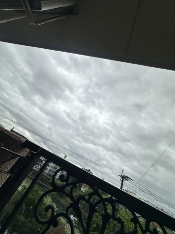グリーン&ウインズの展望