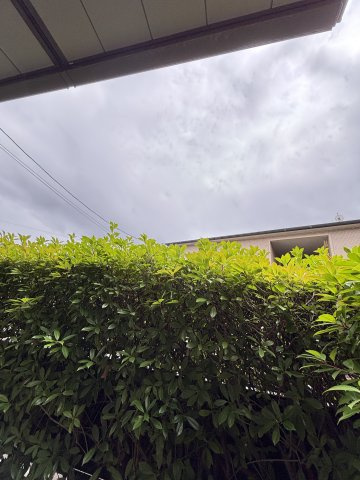 ツインコートの展望