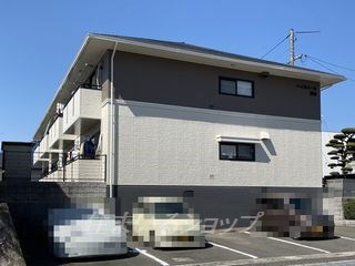 ハイカムール清水