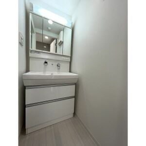 ドゥナーレ辻町の洗面所