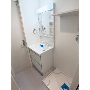 レクセラの洗面所