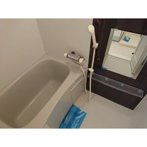 アークラヴィータの浴室