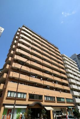 ライオンズプラザお茶の水