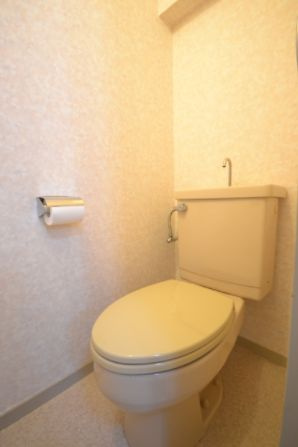 ライオンズプラザお茶の水のトイレ|清潔感のあるトイレです