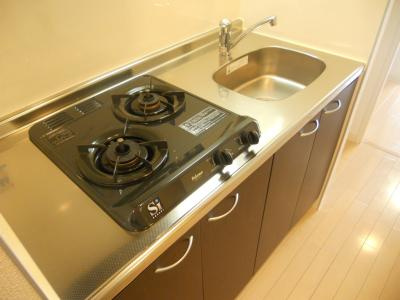 エステムプラザ京都御所ノ内ＲＥＧＩＡ（レジア）のキッチン|2口ガスシステムキッチン