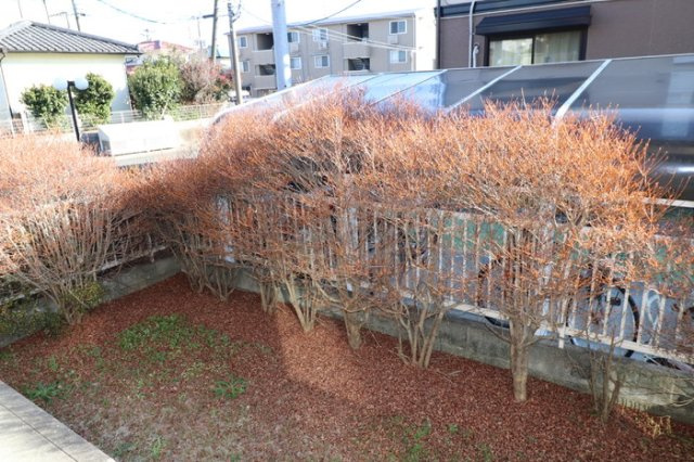 エスボワール　A棟の庭