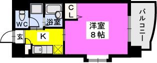 BRILLIANT36の間取り|※図面と現況が異なる場合は現況を優先します。
