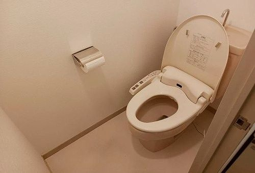 ライオンズプラザお茶の水のトイレ