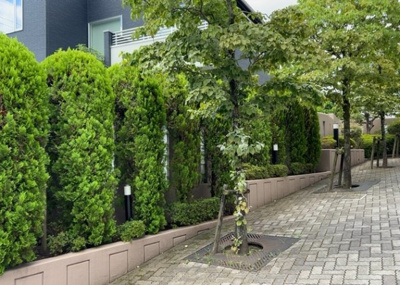 【現況写真】 | サンヴェール玉川学園 | 景色重視でお家選ぶをするとスーパーが遠い！学校が遠い！など生活をするうえで利便性で困ることもあります。まず一度現地を見学する際に、周辺の施設などがあるかを確認し、暮らし始めた後のことを想像しましょう。
