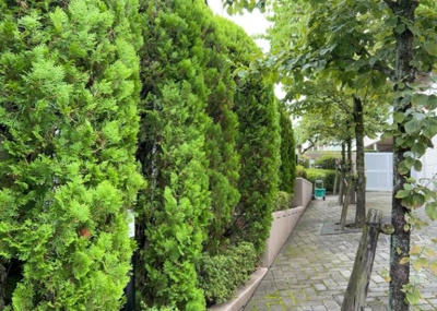 【現況写真】 | サンヴェール玉川学園 | 景色重視でお家選ぶをするとスーパーが遠い！学校が遠い！など生活をするうえで利便性で困ることもあります。まず一度現地を見学する際に、周辺の施設などがあるかを確認し、暮らし始めた後のことを想像しましょう。