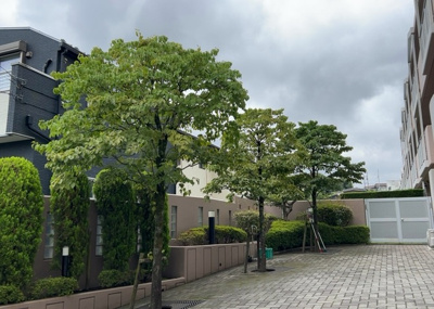 【現況写真】 | サンヴェール玉川学園 | 道幅が広い場所は日当たりや風通が良好です。幅が広いのですれ違いも可能ですし大きな車でも駐車可能！一方で、大型車が通ることも多くなるため交通量の増加により騒音に繋がります。また土地の値段が高くなります。