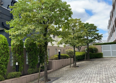 【中庭】 | サンヴェール玉川学園 | 敷地内に整えられた静かな共有ガーデンです。心地よい陽光と風を呼び込み、住民の方々に憩いのひとときを提供します。しっかりと清掃が行き届いた共用部で、日常の中で四季折々の自然を身近に感じられます。