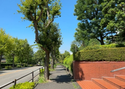 【展望】 | グリーンコープ鹿島 | 眺望を気にして物件を探す場合、前面に建物が建っていないか現地で確認しましょう！前面に建物があると景色はもちろん、日当たりや風通しにも影響が出てきます。住んだ時のことを想像しながら現地見学をしましょう。