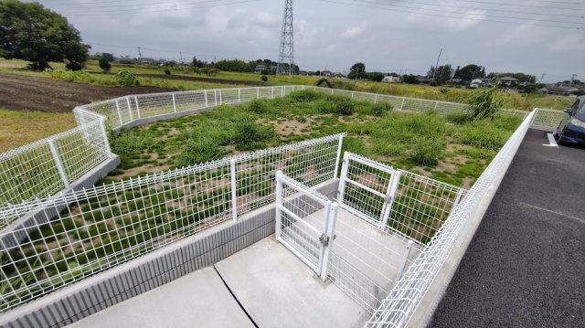 シャインスターアイズのその他