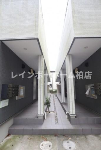 【仲介手数料：50％OFF】対象物件！のエントランス|落ち着いたエントランスです