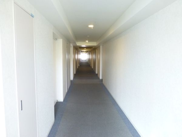 willDo清澄