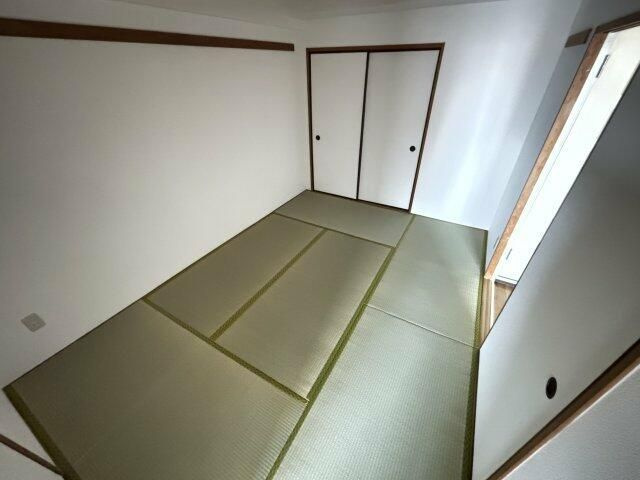 セボールのその他