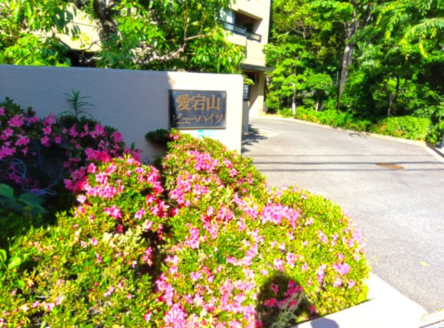 愛宕山ビューハイツの外観
