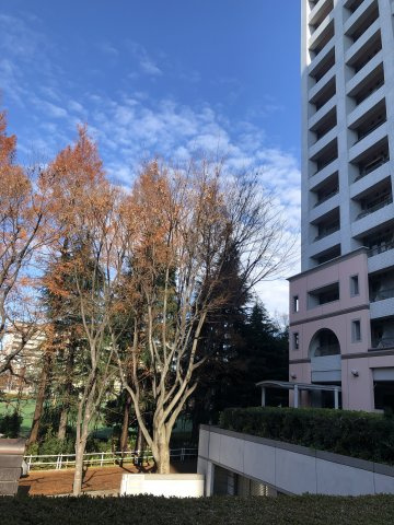 西戸山タワーホウムズノースタワーの外観