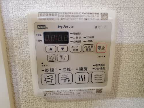 ミュール鴻のその他