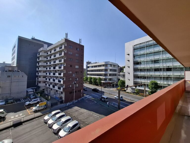 ダイアパレス高田馬場の展望