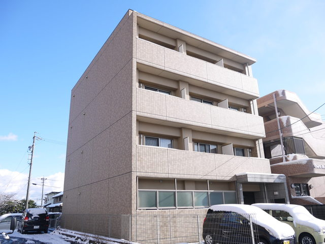 カーサルピナス