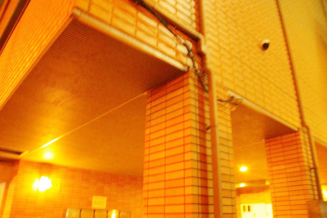 パールマンションISの外観|外観