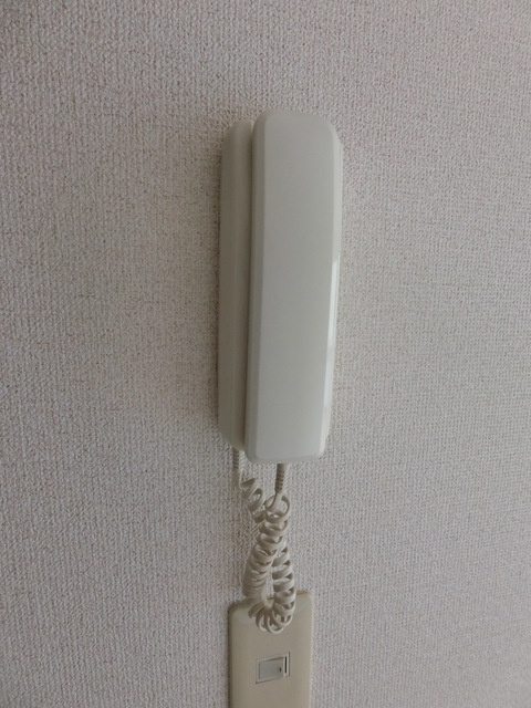 フイリアのセキュリティ