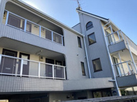 Ｃｏｌｌｉｎａ　Ｖｅｒｄｅの画像