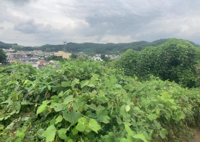 【前面道路含む現地写真】 | ハザードマップは自然災害による被害を予測し、その被害範囲を地図上で表したものです。近年特に災害が多くなっていますので、事前に調査すると安心できます。ハザードマップは国交省のホームページをご覧ください。