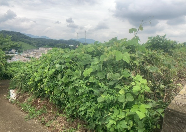 【外観】 | 現地に行くなら、物件の周囲の地形がどうなっているかを見ることも大切です。周辺より低くなっている土地では、大雨などで水が集まりやすいため、地盤が弱くなっているということも考えられるため、注意が必要です。