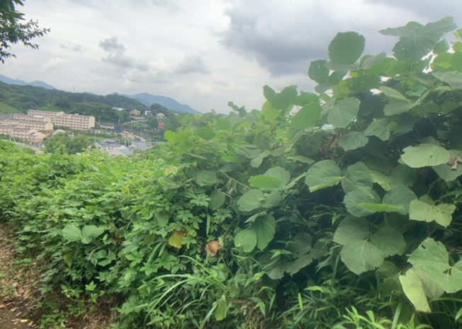 【外観】 | 土地購入を検討されている場合、境界杭がない状態で購入してしまうと境界確定測量をする必要があり、費用がかかります。購入の前に、売主、隣土地所有者立ち合いのもと境界を確定し境界杭を設置するのがベストです。