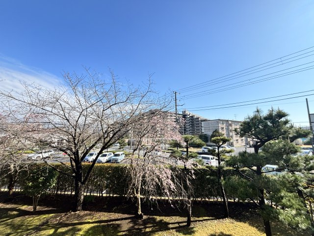 桜が見える眺望★