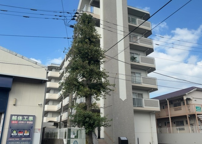 【構造・工法・仕様】 | エクセル橋本南 | 建物は耐震性や耐久性に優れた鉄筋コンクリート（RC）造の6階建てです。1993年建築のしっかりとした構造で、防音性にも配慮されています。永く安心して暮らせる確かな品質を備えたおすすめ物件です。