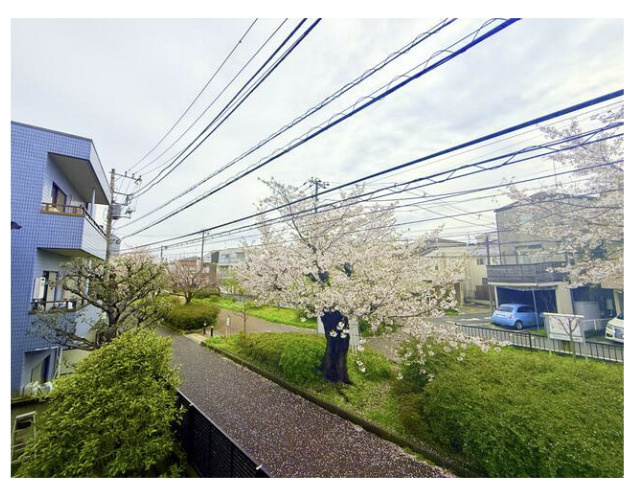 Villa Lumiere Ⅱの展望