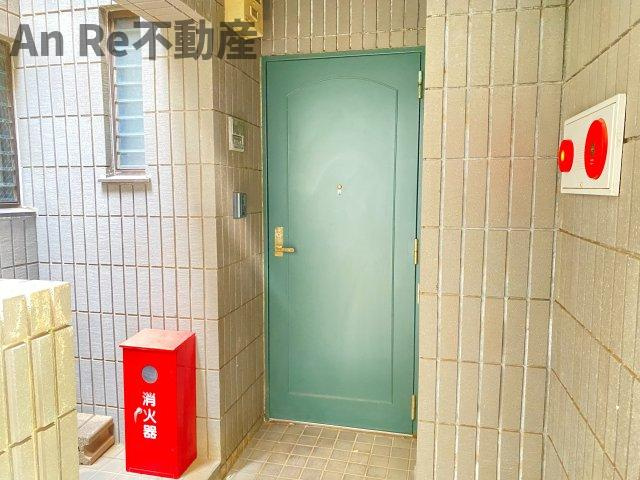 ザ・ルネサンスヒルズⅡの玄関