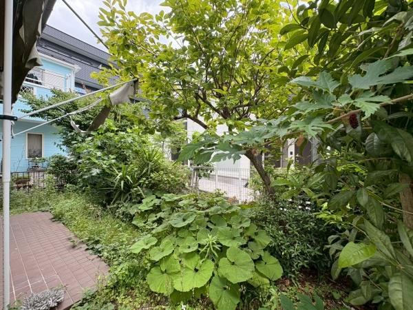 鎌倉市植木の中古一戸建の庭|緑豊かな庭が広がっており植物の成長を感じられるスペースです。木々や草花に囲まれた落ち着いた雰囲気が特徴です。外からの視線が気になりにくい庭です。明るい日差しが差し込む庭が魅力的です。