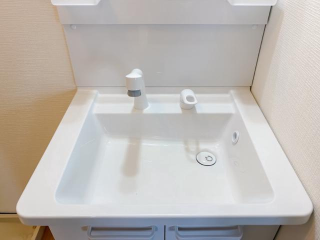 メンバーズタウンかすみの洗面所