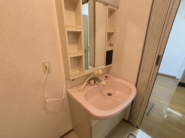 セジュール城東105の洗面所