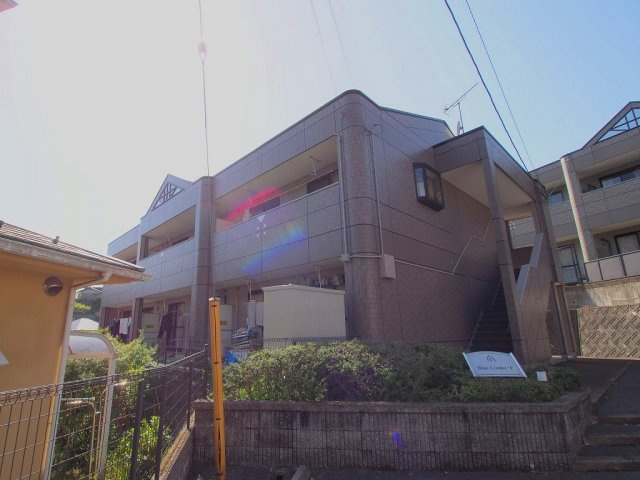 Blue Cosmo・F