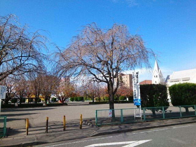 フラワープレイスの周辺|若宮公園まで250m
