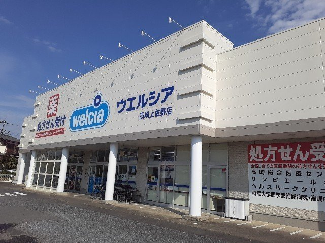 スターアリスⅥの周辺|ウエルシア高崎上佐野店まで1300m