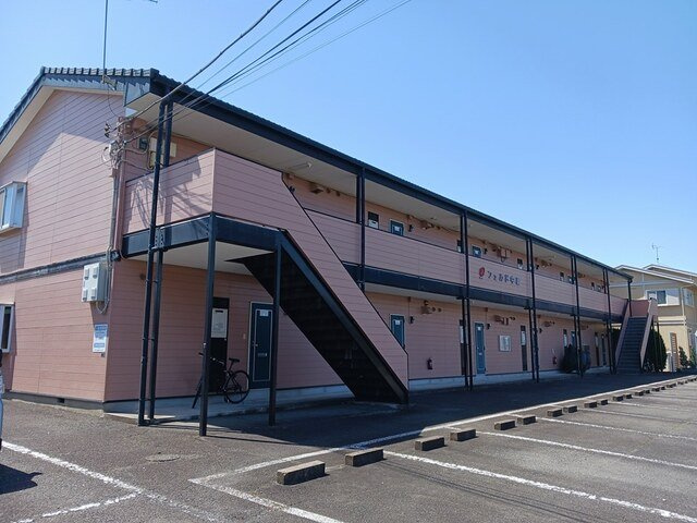 フェルド中居
