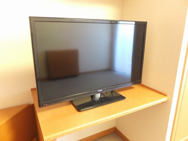 レオパレスエコミックユーのその他