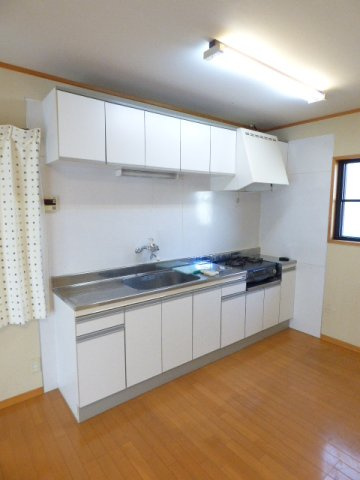 前橋市東善町の一戸建てのキッチン|キッチンでお料理をお楽しみください