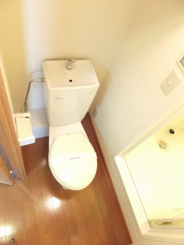 レオパレスタキオンのその他